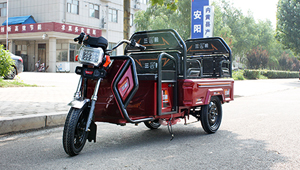 老年電動(dòng)三輪車(chē)