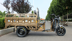  河南電動(dòng)三輪車廠家