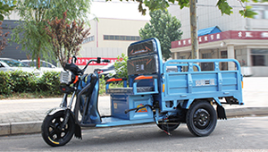 電動三輪車生產(chǎn)廠家
