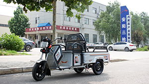 載貨電動(dòng)三輪車(chē)